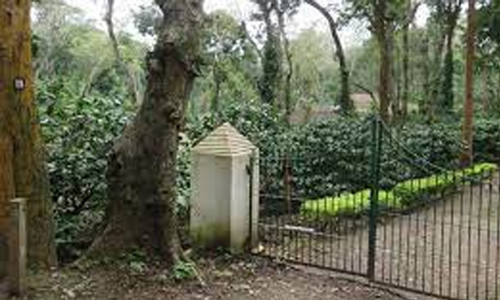 ആലത്തൂർ എസ്​റ്റേറ്റ്: നടപടി വൈകിപ്പിക്കുന്നതിനെതിരെ എ.ജി