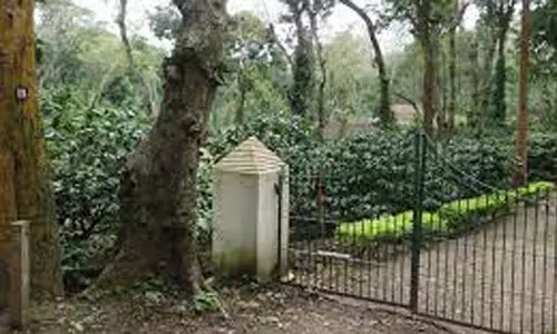 ആലത്തൂർ എസ്​റ്റേറ്റ്: നടപടി വൈകിപ്പിക്കുന്നതിനെതിരെ എ.ജി