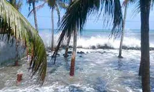 ചെല്ലാനം തീരസംരക്ഷണത്തിന് 344 കോടി