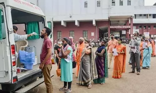 Covid Swab Collection