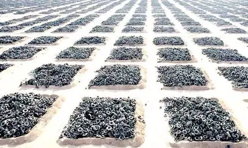 അർഹിയയിൽനിന്ന്​ നാലേകാല്‍ കോടി പഴയ ടയറുകള്‍ നീക്കി