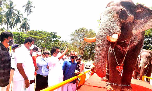 വിനായകന്‍ 5700 കിലോ; അയ്യപ്പന്‍കുട്ടി 3320