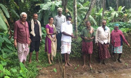 പ്രകൃതി കൃഷിയിൽ സജീവമാകാൻ ഒരുങ്ങി ആറളം കൃഷി ഭവൻ