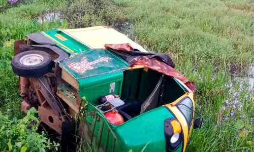 ഓട്ടോറിക്ഷ പാടത്തേക്ക് മറിഞ്ഞു