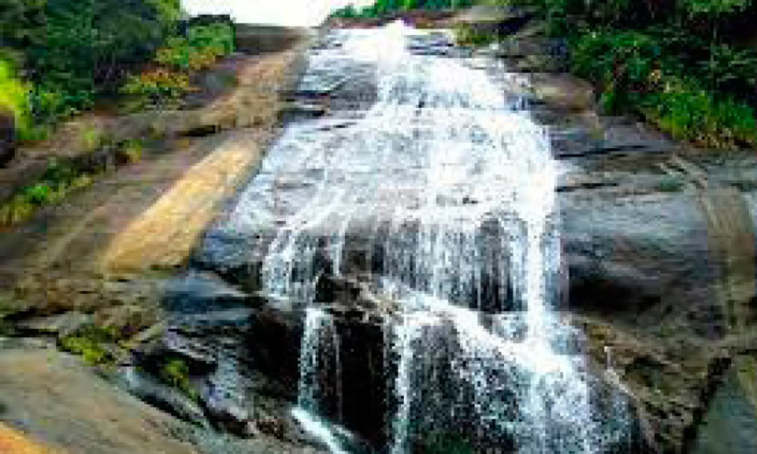 തുഷാരഗിരിയിലെ 270 ഏക്കർ ഇ.എഫ്​.എൽ ഭൂമി നഷ്​ടമാക്കി വനംവകുപ്പ്​