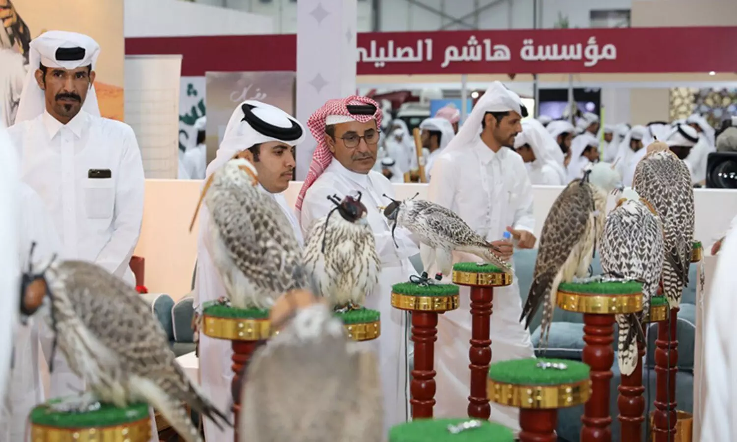 സ്​ഹൈൽ ഫാൽകൻ ഫെസ്​റ്റിനൊരുങ്ങി കതാറ