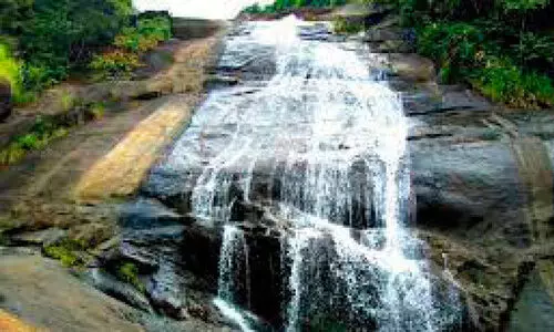 തുഷാരഗിരിയിലെ 270 ഏക്കർ ഇ.എഫ്​.എൽ ഭൂമി നഷ്​ടമാക്കി വനംവകുപ്പ്​