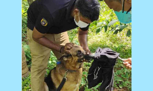 യുവതിയെ കാണാതായി; വീടിനു​ പിന്നിൽ രക്തക്കറയും കീറിയ വസ്ത്രങ്ങളും