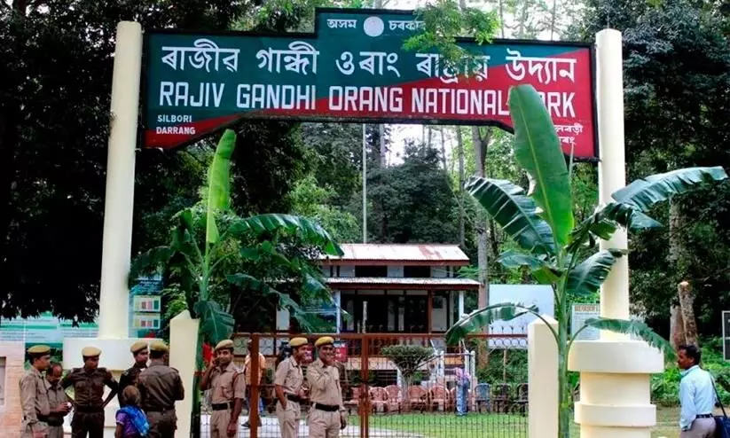 Rajiv Gandhi National Park