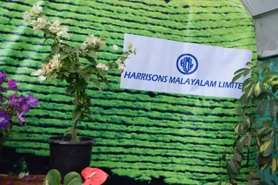 വയനാട്ടിലെ മലയോര ഹൈവേക്ക്​ തടസ്സം ഹാരിസൺസ്