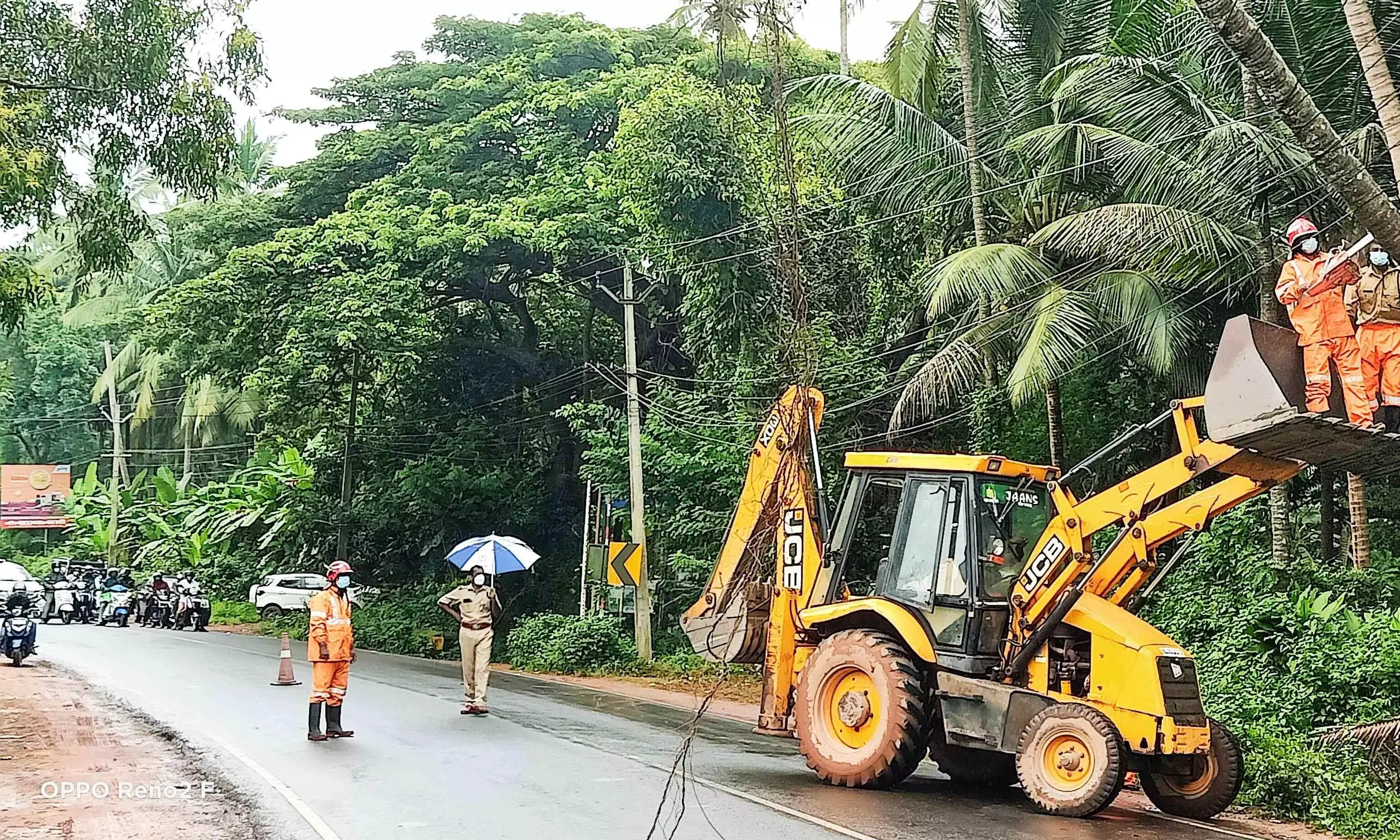 വൈദ്യുതലൈനിലേക്ക് കടപുഴകിയ തെങ്ങ് അതിസാഹസികമായി മുറിച്ചുമാറ്റി വൈദ്യുതലൈനിലേക്ക് കടപുഴകിയ തെങ്ങ് അതിസാഹസികമായി മുറിച്ചുമാറ്റി