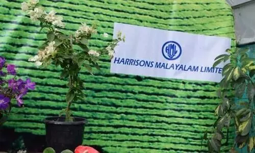 വയനാട്ടിലെ മലയോര ഹൈവേക്ക്​ തടസ്സം ഹാരിസൺസ്