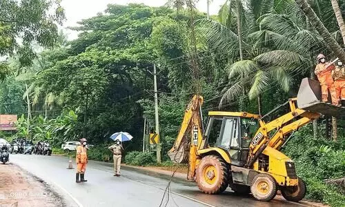 വൈദ്യുതലൈനിലേക്ക് കടപുഴകിയ തെങ്ങ് അതിസാഹസികമായി മുറിച്ചുമാറ്റി വൈദ്യുതലൈനിലേക്ക് കടപുഴകിയ തെങ്ങ് അതിസാഹസികമായി മുറിച്ചുമാറ്റി