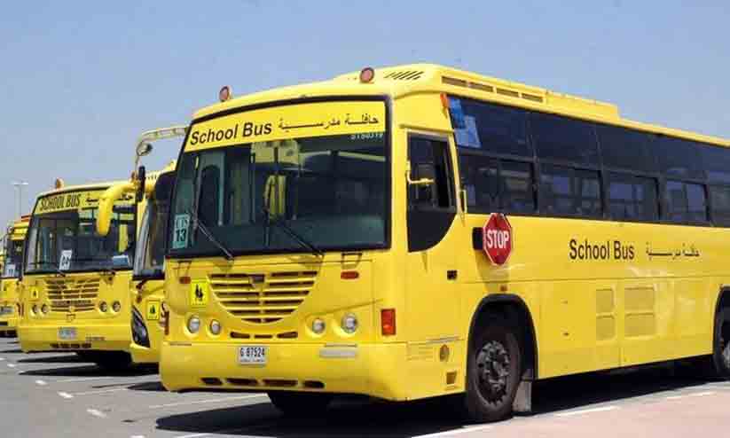 school-buses school-buses