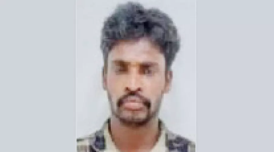 ചന്ദനത്തടി മോഷണം; നി​ര​പ​രാ​ധി​യെ കു​ടു​ക്കാ​ൻ കെ​ണി​യൊ​രു​ക്കി വ​ന​പാ​ല​ക​​ൻ, യഥാർഥ പ്രതി പിടിയിൽ