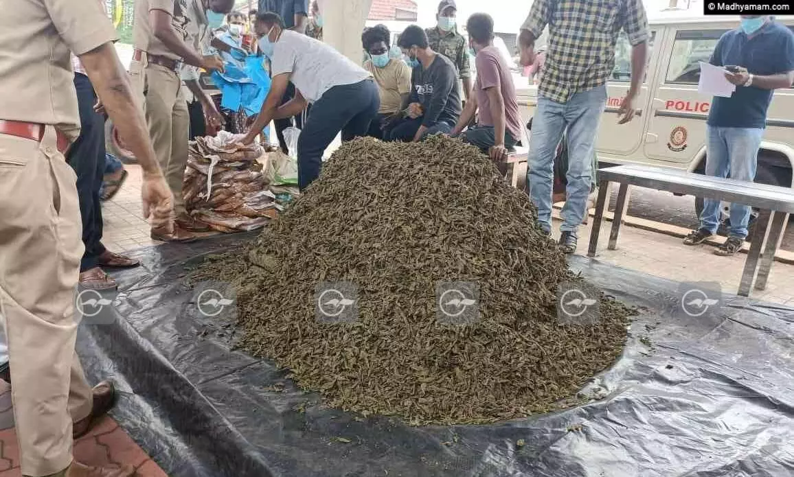 ലോറിയിൽ കടത്തിയ രണ്ടര ക്വിന്‍റൽ കഞ്ചാവുമായി മൂന്ന്​ പേർ പിടിയിൽ