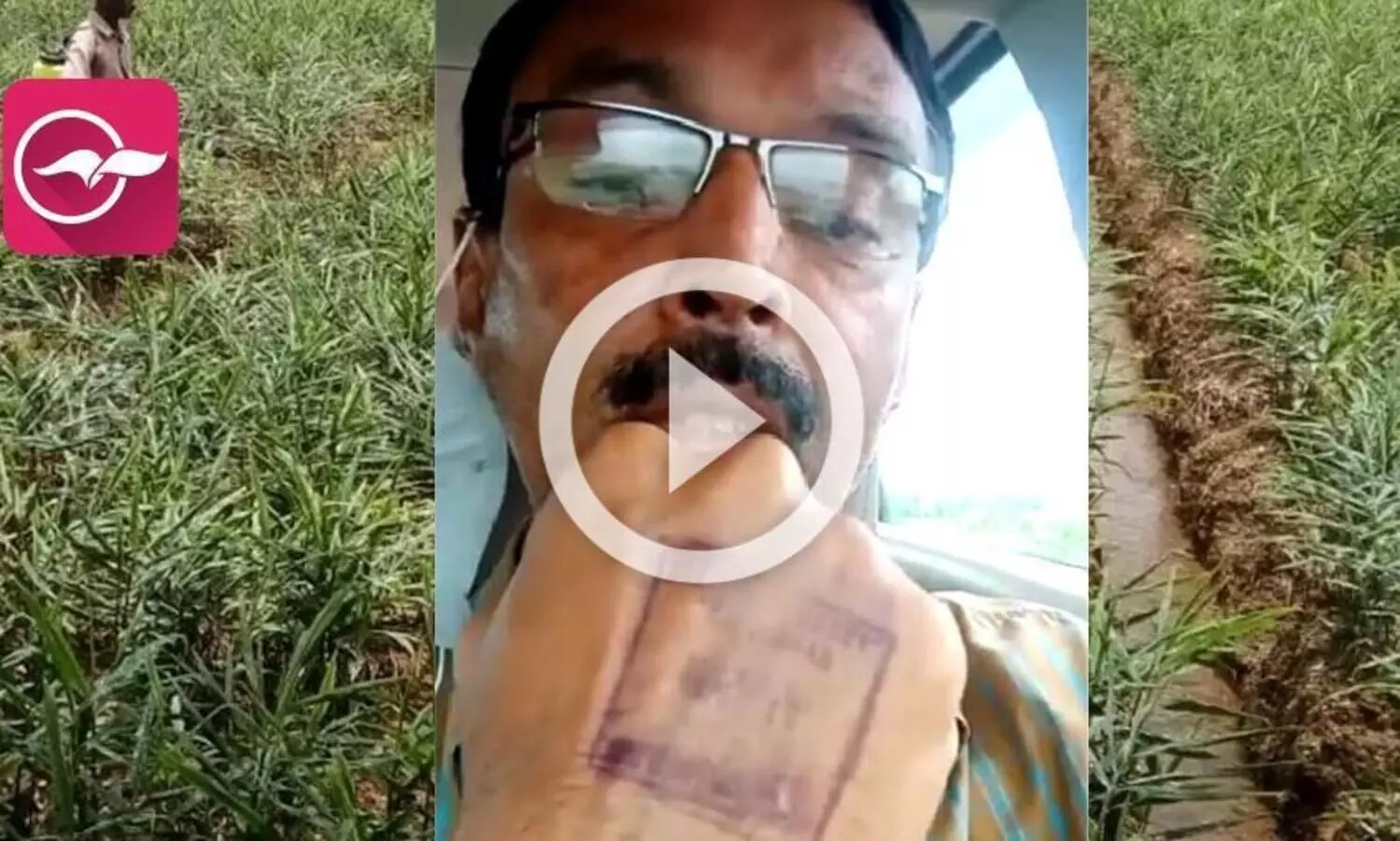 മലയാളി കര്‍ഷകരുടെ ദേഹത്ത് സീല്‍ പതിപ്പിച്ച് കർണാടക അധികൃതര്‍, വിവാദത്തെ തുടർന്ന് നിർത്തിവെച്ചു