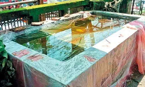 മെഡിക്കൽ കോളജ് കോൺക്രീറ്റ് ടാങ്കിൽ കൊതുകുകൾ പെരുകുന്നു മെഡിക്കൽ കോളജ് കോൺക്രീറ്റ് ടാങ്കിൽ കൊതുകുകൾ പെരുകുന്നു