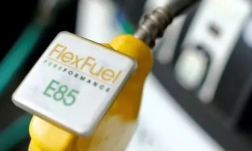 Automakers must mandatorily build ethanol vehicles: Transport