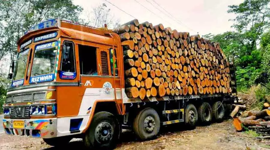 പരിശോധനയില്ല; കാസർകോട് ജില്ലയിൽ നിന്നും വ്യാപകമായി മരം കടത്തുന്നു