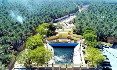 സന്ദർശകരുടെ പറുദീസ: അറബ് ടൂറിസത്തിെൻറ തലസ്ഥാനമായി അൽഅഹ്സ സന്ദർശകരുടെ പറുദീസ: അറബ് ടൂറിസത്തിെൻറ തലസ്ഥാനമായി അൽഅഹ്സ