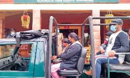 മുതുമല കടുവ സങ്കേതത്തിൽ വാഹനസവാരി തുടങ്ങി