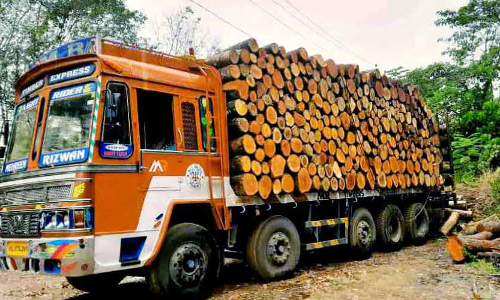 പരിശോധനയില്ല; കാസർകോട് ജില്ലയിൽ നിന്നും വ്യാപകമായി മരം കടത്തുന്നു
