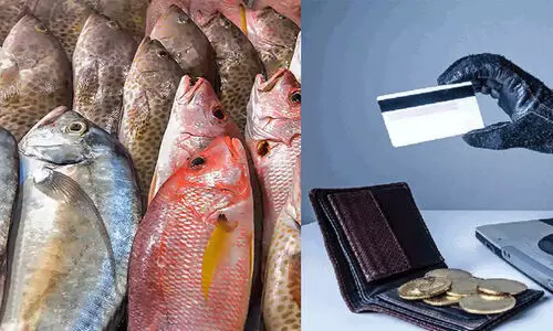 ആലുവയിൽ പട്ടാളമിറങ്ങി; മീൻകാരന്റെ അക്കൗണ്ട് കാലിയാക്കി, കോഴിക്കച്ചവടക്കാരൻ തലനാരിഴക്ക് രക്ഷപ്പെട്ടു ആലുവയിൽ പട്ടാളമിറങ്ങി; മീൻകാരന്റെ അക്കൗണ്ട് കാലിയാക്കി, കോഴിക്കച്ചവടക്കാരൻ തലനാരിഴക്ക് രക്ഷപ്പെട്ടു