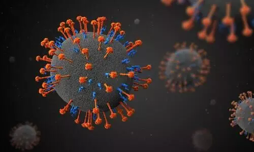 Nipah virus