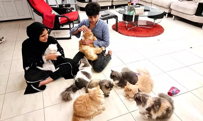 അ​ബ്​​ദു​ല്ല ഭ​ക്ഷ​ണ​വും പ​രി​ച​ര​ണ​വും ന​ൽ​കി: സ്നേ​ഹം തി​രി​കെ ന​ൽ​കി പ്രാ​വു​ക​ളും പൂ​ച്ച​ക​ളും