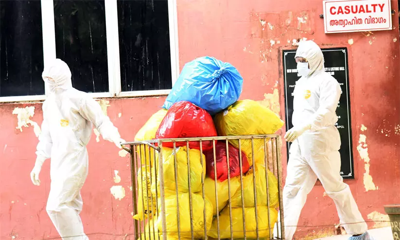 Nipah virus Nipah virus