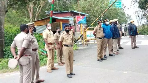 checking nipah checking nipah