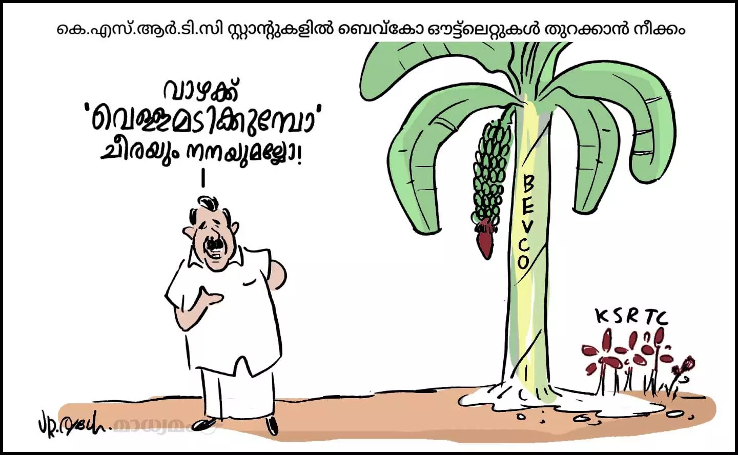 വാഴയും ചീരയും