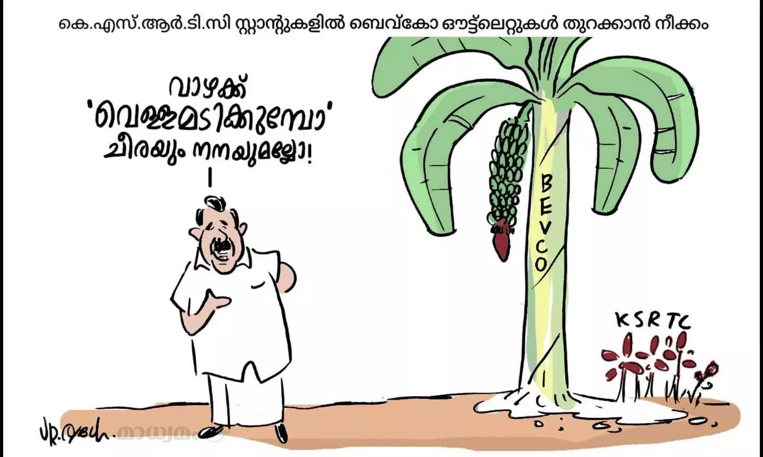 വാഴയും ചീരയും