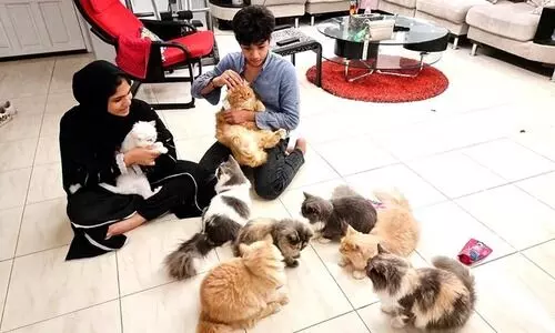 അ​ബ്​​ദു​ല്ല ഭ​ക്ഷ​ണ​വും പ​രി​ച​ര​ണ​വും ന​ൽ​കി: സ്നേ​ഹം തി​രി​കെ ന​ൽ​കി പ്രാ​വു​ക​ളും പൂ​ച്ച​ക​ളും