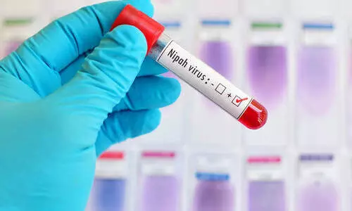 നിപ: കാർഗോ കമ്പനികൾ വിസമ്മതിച്ചു, ഉറവിട പരിശോധന സാമ്പിളുകൾ അയക്കാനായില്ല