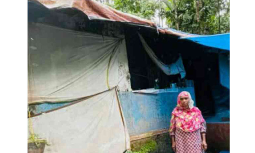 അന്തിയുറങ്ങാൻ ഒരു വീടിനായി നിരാലംബ കുടുംബം കനിവുതേടുന്നു