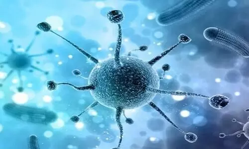 Nipah virus Nipah virus