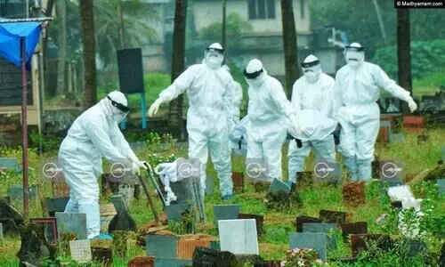 nipah virus death