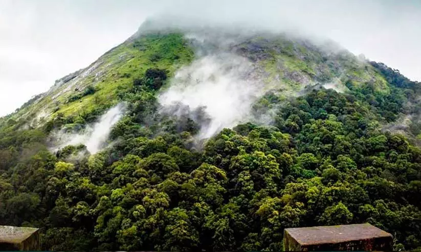 നെല്ലിയാമ്പതിയിലെ ടൂറിസം പോയൻറുകളിൽ അപകടം തുടർക്കഥ