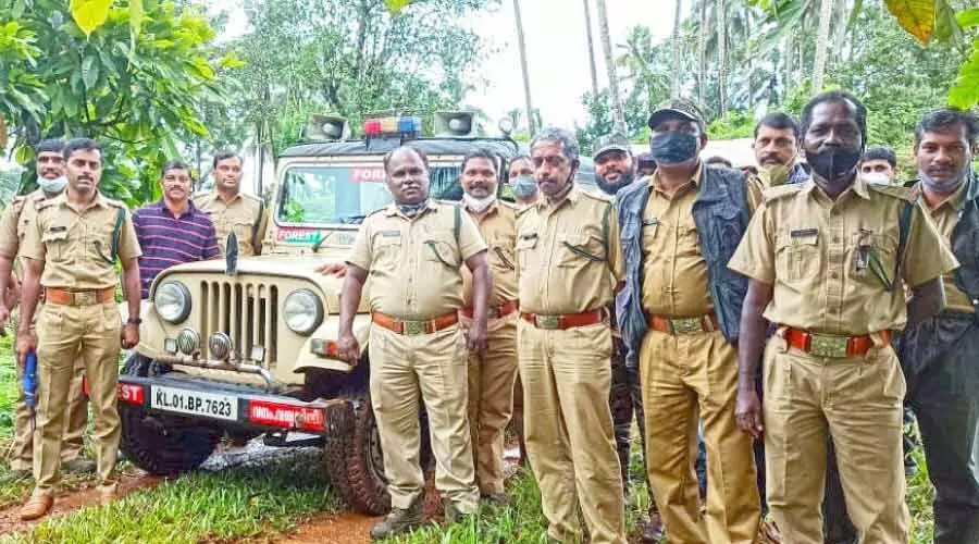 11 കാട്ടാനകളെ കൂടി വ​ന​ത്തി​ലേ​ക്ക് തുരത്തി വ​നം​വ​കു​പ്പ്