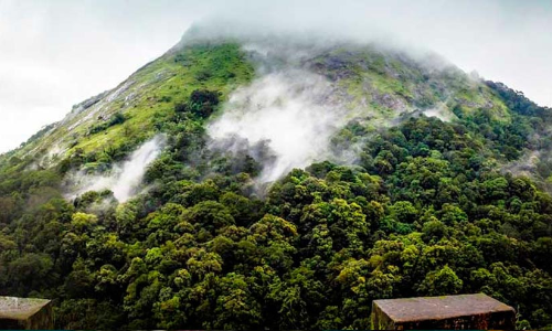 നെല്ലിയാമ്പതിയിലെ ടൂറിസം പോയൻറുകളിൽ അപകടം തുടർക്കഥ