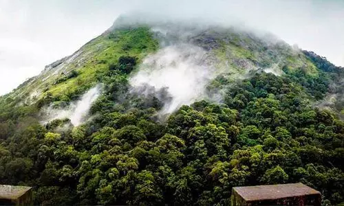നെല്ലിയാമ്പതിയിലെ ടൂറിസം പോയൻറുകളിൽ അപകടം തുടർക്കഥ നെല്ലിയാമ്പതിയിലെ ടൂറിസം പോയൻറുകളിൽ അപകടം തുടർക്കഥ