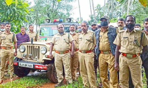 11 കാട്ടാനകളെ കൂടി വ​ന​ത്തി​ലേ​ക്ക് തുരത്തി വ​നം​വ​കു​പ്പ്