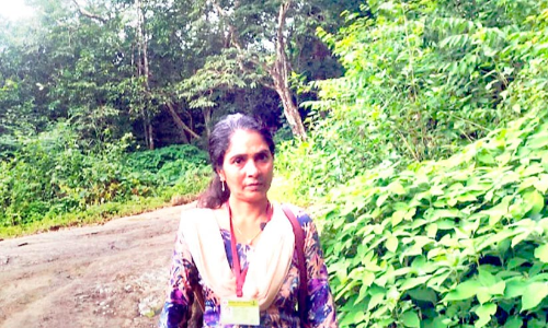 വനത്തിലൂടെ കിലോമീറ്ററുകൾ യാത്രചെയ്​ത്​ കാട്ടിലെ ജീവിതങ്ങളുടെ ആശാകിരണം