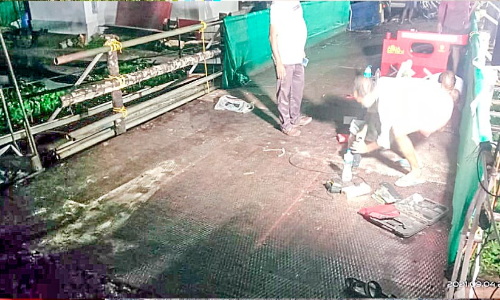 ലോറി കയറി തകർന്ന പൊങ്ങ താൽക്കാലികപാലം പുനർനിർമിച്ചു; ഗ​താ​ഗ​തം പു​നഃ​സ​ഥാ​പി​ച്ചു