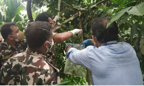 നിപ: ഉറവിടം കണ്ടെത്താൻ ഊർജിത അന്വേഷണം; കോഴിക്കോടി​െൻറ സമീപ ജില്ലകളിലും ജാഗ്രത