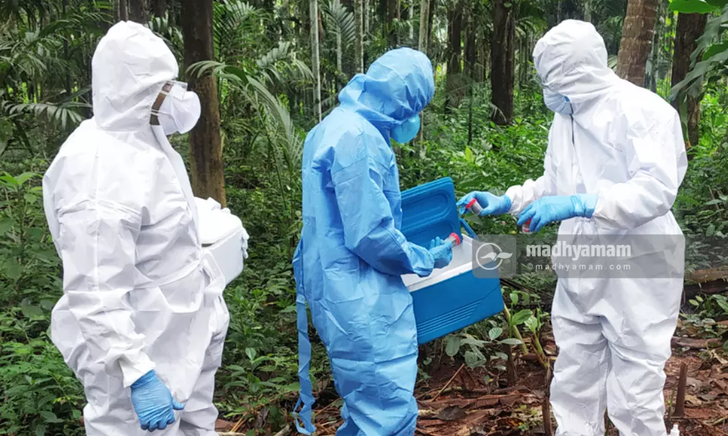 Nipah Virus Nipah Virus
