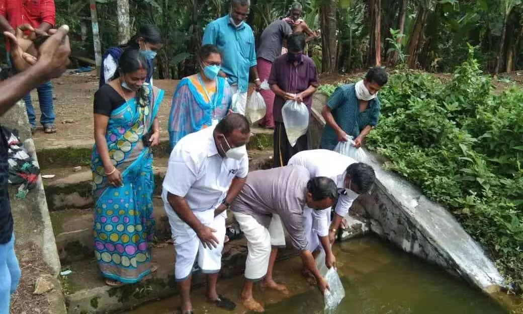 fish culture fish culture