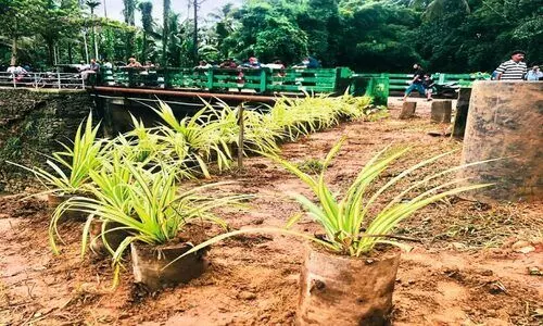 കടലുണ്ടി പുഴയോരം വൃത്തിയാക്കി പെരുമ്പുഴ പൗരാവലി